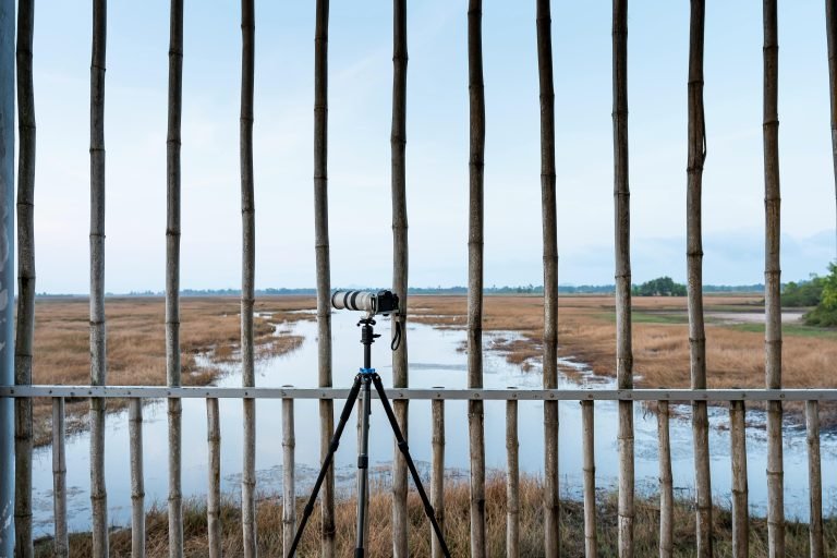 Top Instant Camera Tripods for Stability